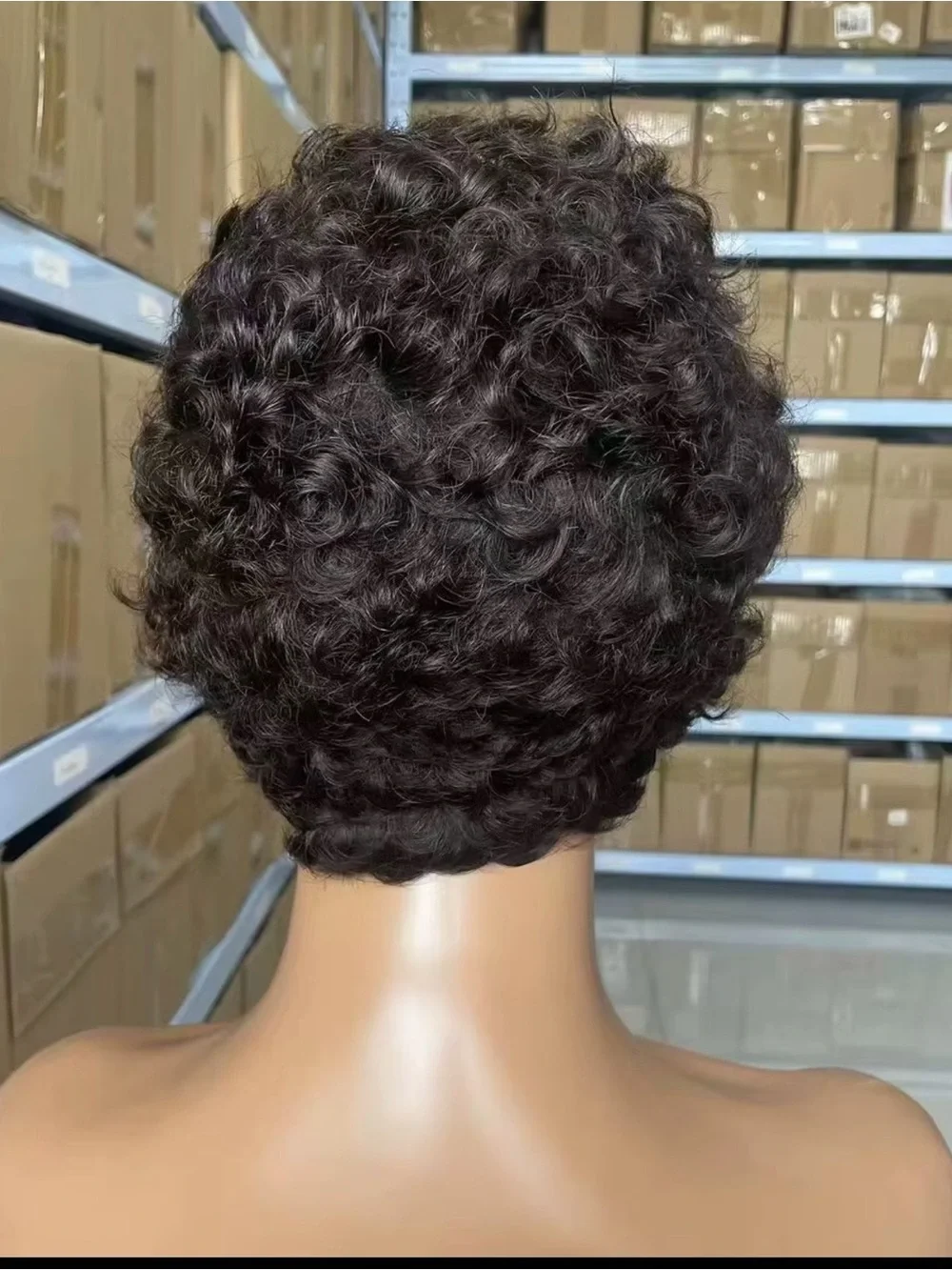 Short Curly Lace Front Wig in Dark Brown - Natural Texture